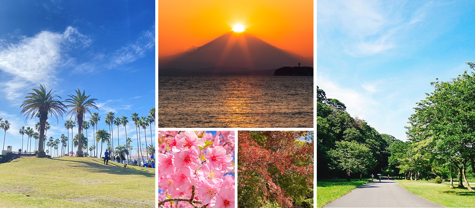 写真：逗子市内各地の風景