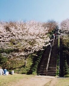 公園写真2