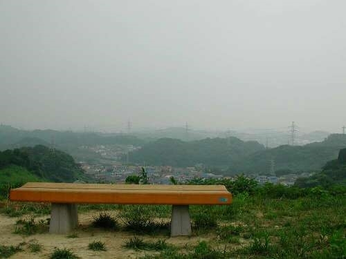 写真：沼間大山緑地1