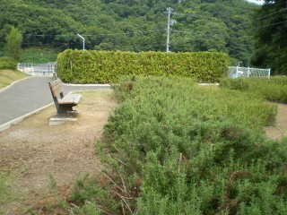 写真：風の丘公園