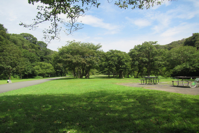 写真：池子の森自然公園外観