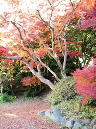 写真：蘆花記念公園1