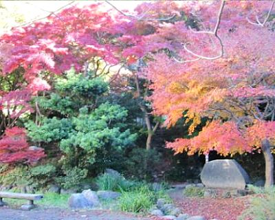 写真：蘆花記念公園2