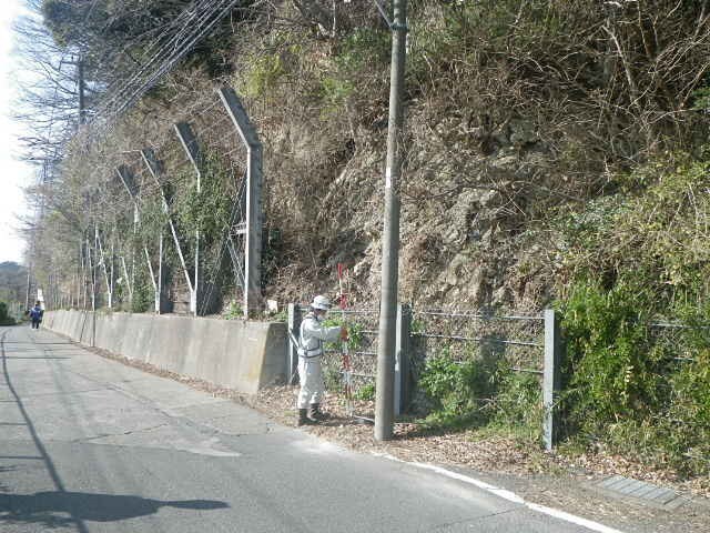 写真：逗子市の崖