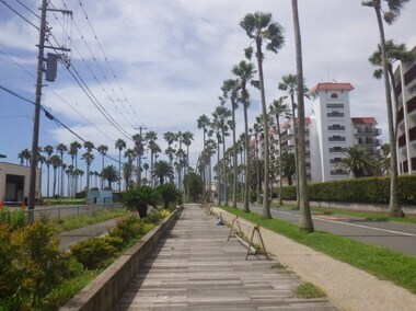 写真：小坪川歩道　施工前