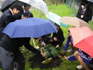 写真：逗子中学校植樹