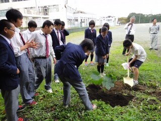 写真：沼間中学校植樹