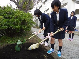 写真：久木中学校植樹