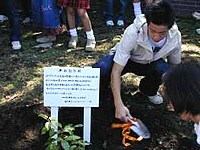 写真：植樹の様子