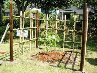 2003年（平成15年）4月28日