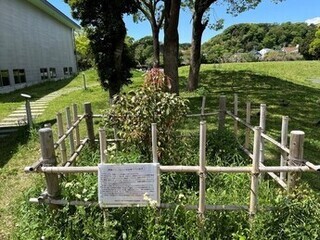 2024年（令和6年）5月26日