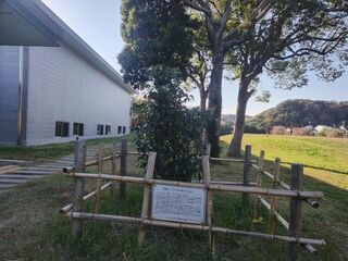 2025年（令和7年)11月15日