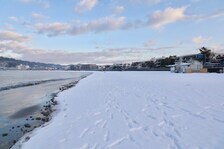 写真:逗子市内2