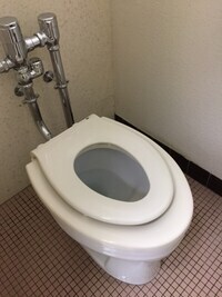 写真：逗子市役所一般トイレにある補助用便座