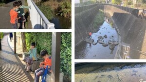 写真：遊歩道でおやつタイム、川に降りて遊ぶ様子
