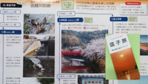 写真：田越川回廊リーフレット