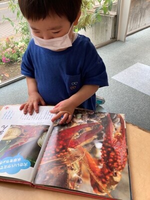 写真：本を読む子