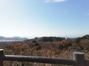 写真：展望広場からの眺め
