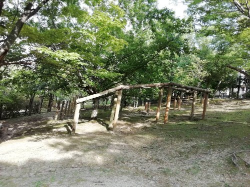 写真：うんてい