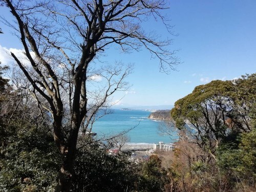 写真:山頂からの景色