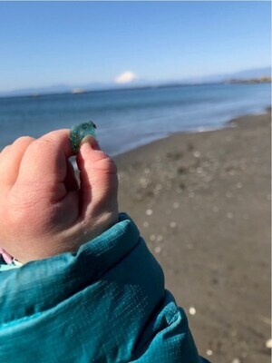 写真：シーグラス