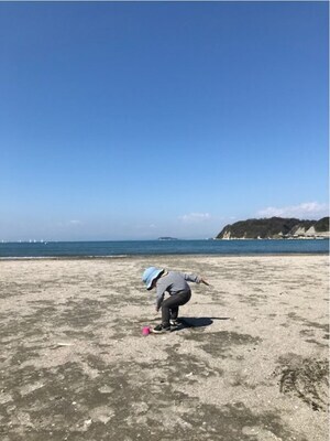 写真：青空の下でビーチコーミング