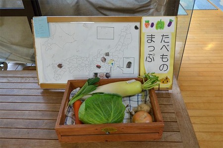 写真：食材見本とマッピングボード
