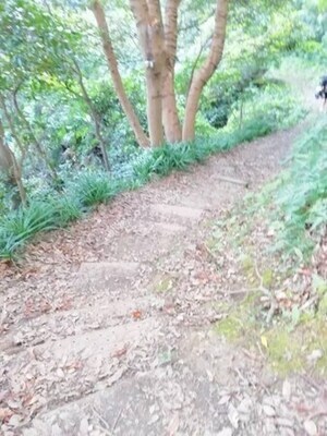 写真：山道
