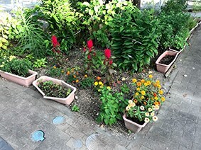 写真：花壇
