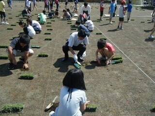 写真:校庭(6月17日)1