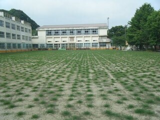 写真:校庭(7月5日)