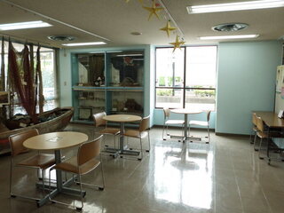 展示室の写真