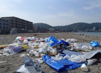 写真：海岸のごみ