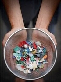 写真:海岸のプラスチックごみ