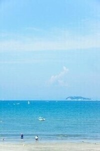 写真:海
