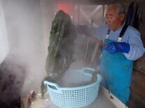 写真:わかめ漁の様子5
