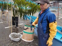 写真:作業風景5