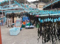 写真:作業風景3
