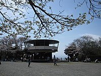 写真：披露山公園