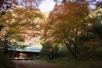 写真：蘆花記念公園