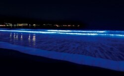 写真:NIGHT WAVE ZUSHI