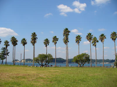 写真：小坪飯島公園1