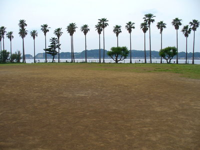 写真：小坪飯島公園7