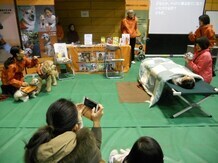 写真：ふれフェス2019の様子7