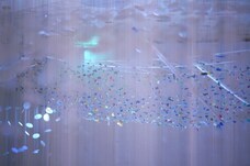 写真:ZAF2019作品1