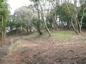 写真:葉山桜山団地西側の山頂 2013年