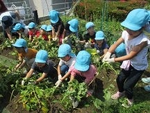 写真：保育園活動の様子