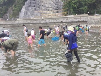 写真：うに駆除