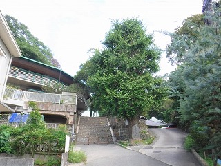 写真:応募部門(表彰)5