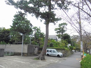 写真:応募部門(表彰)6
